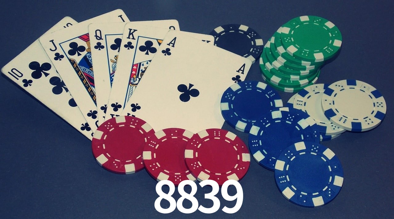 Game Providers 8839