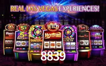 8839 Rio de Janeiro - Bonus Terms